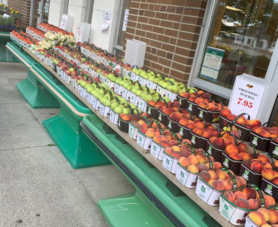 Different selection of Wholesale Fruits