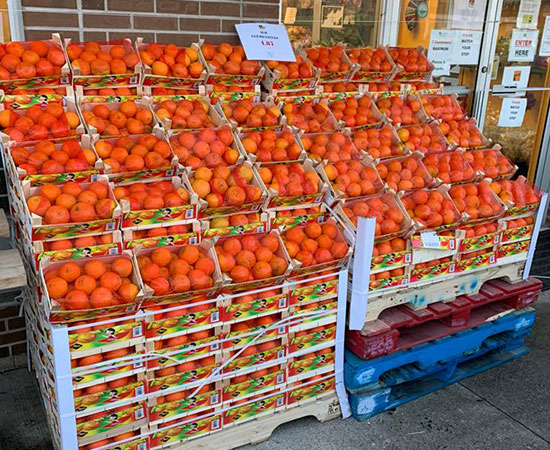 Packages of Oranges - A.J. Lanzarotta Wholesale Fruits